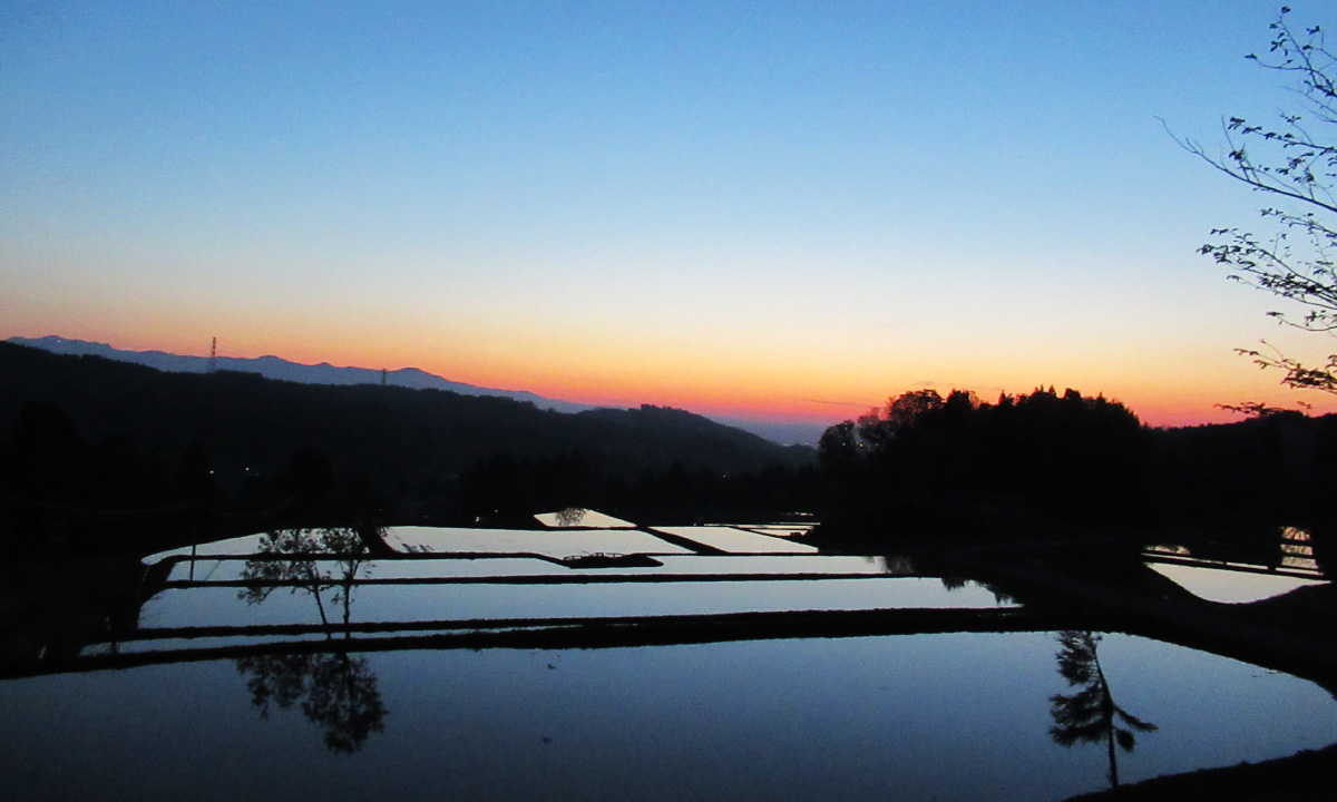 美しい棚田の風景