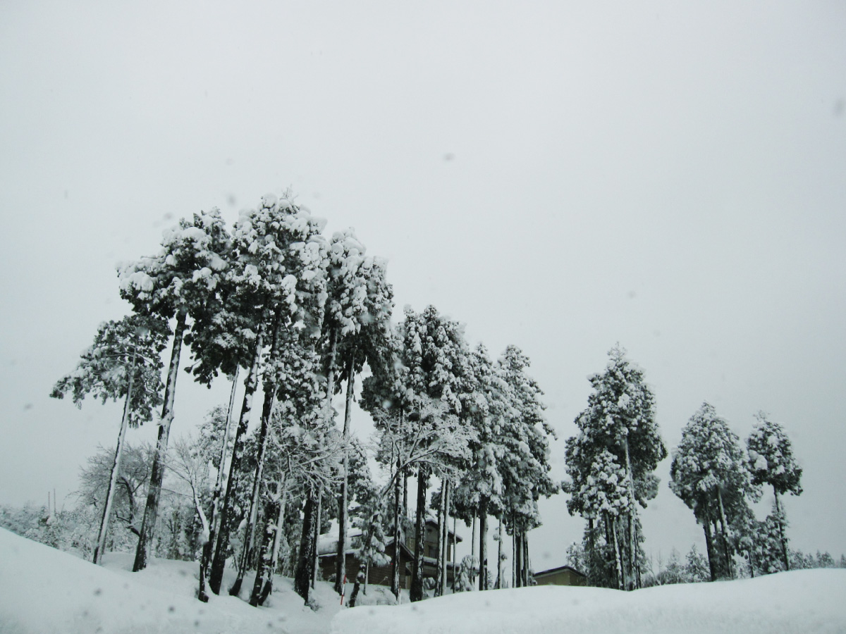 厳しく雪深い牧の冬